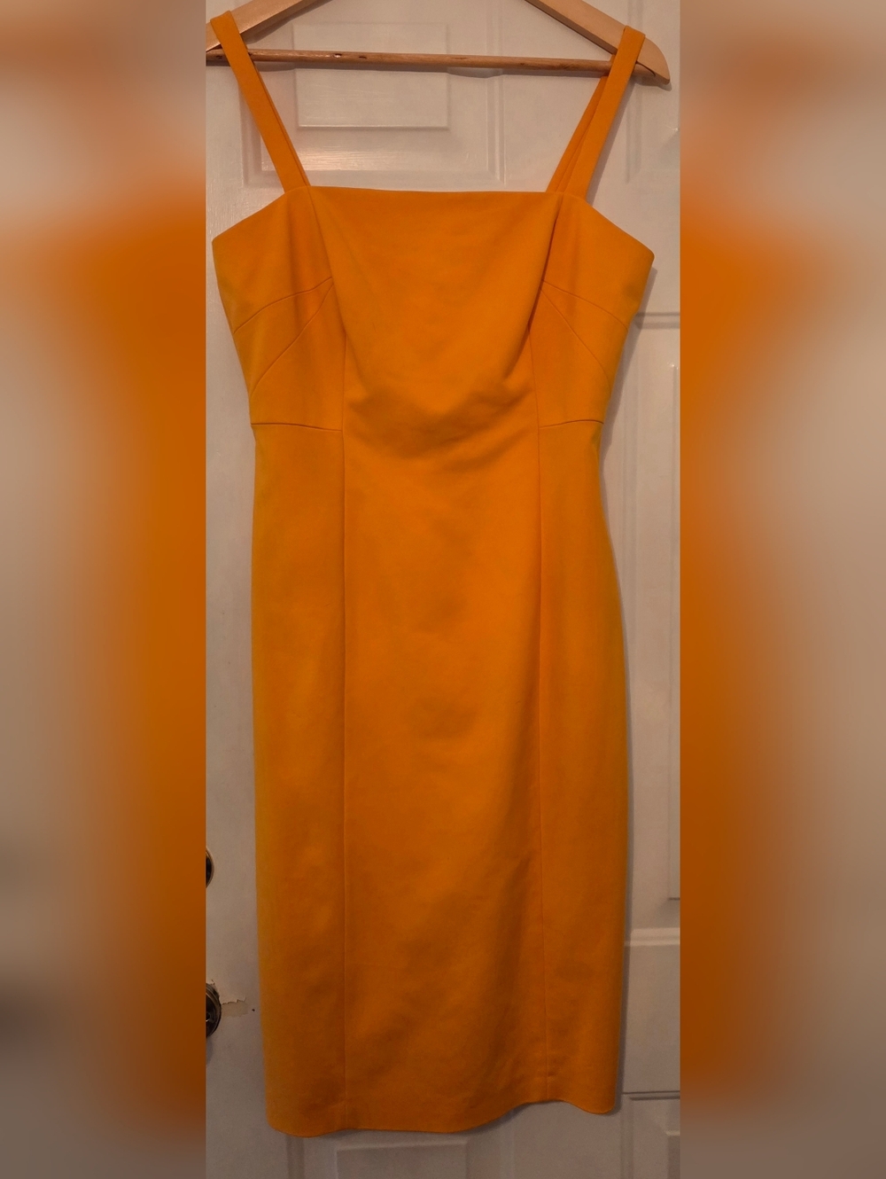Antonio Melani Sleeveless Dress Size 6. New Without Tags
